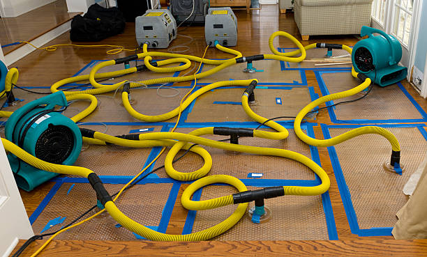 Professional Water Damage Repair technician working in Dunlap, CA
